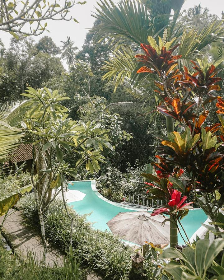 Song Broek Bali Hotel Payangan Buitenkant foto