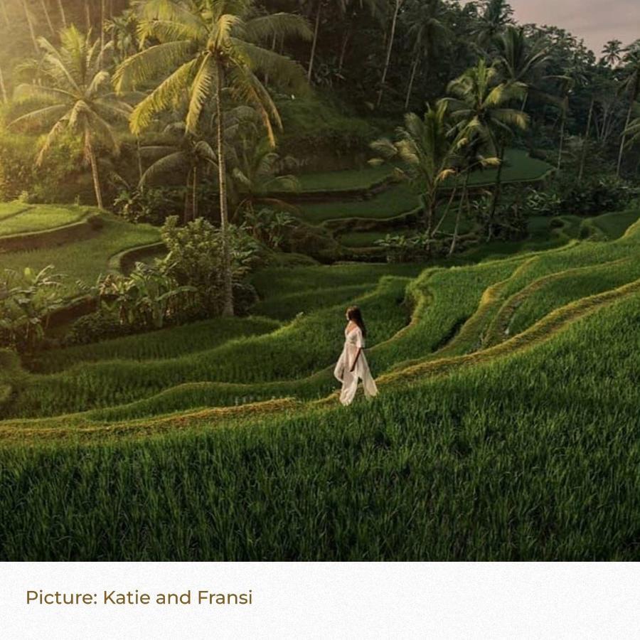 Song Broek Bali Hotel Payangan Buitenkant foto