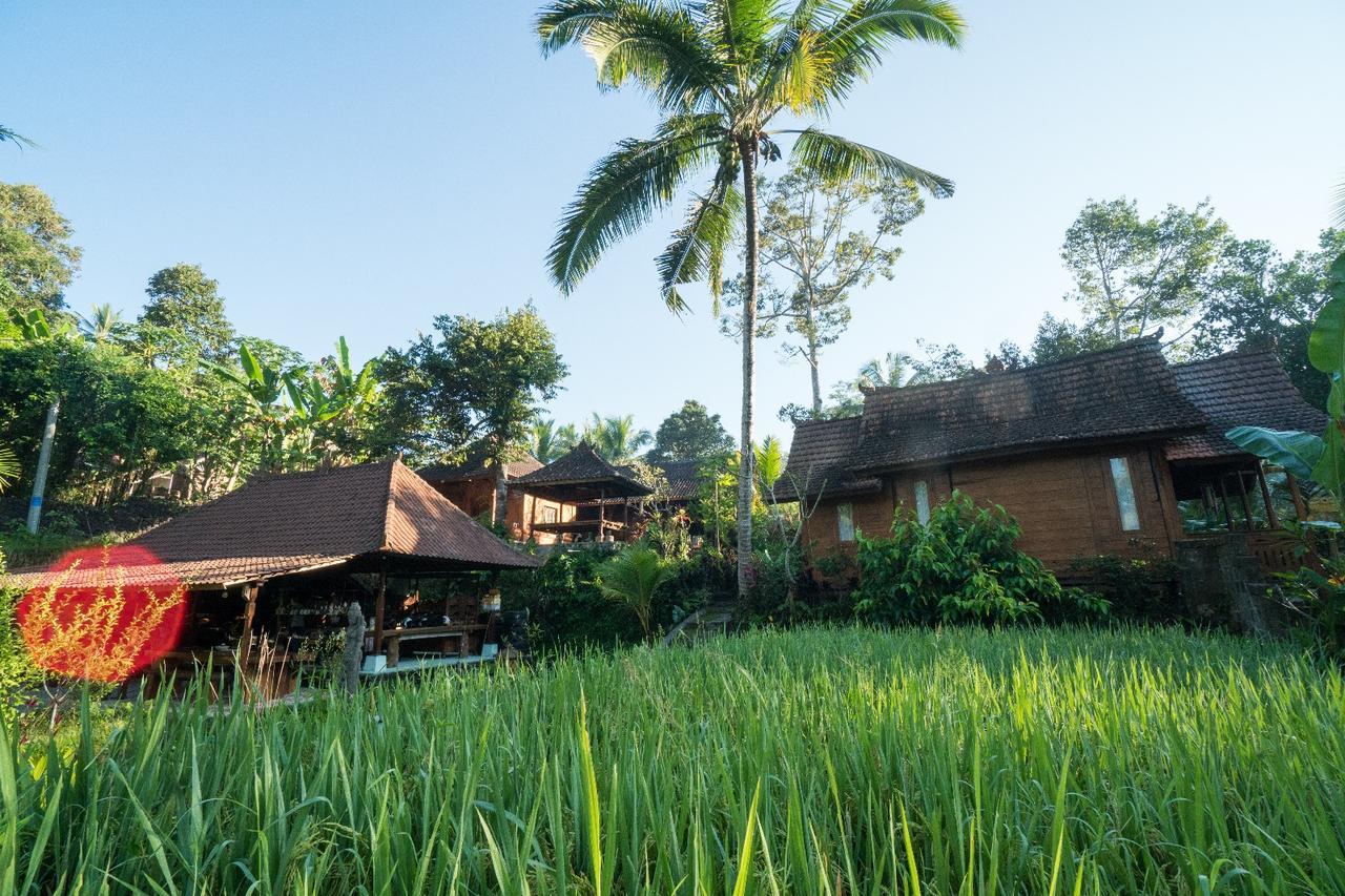 Song Broek Bali Hotel Payangan Buitenkant foto